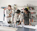 Business Management Consulting Services & Solutions - 球探比分